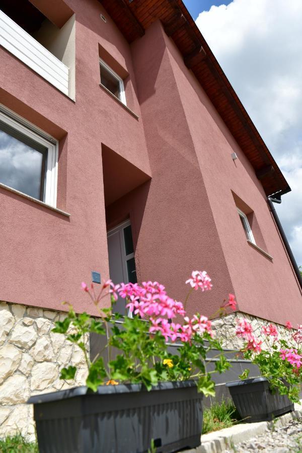 House Bela Vido Hotell Drežnik Grad Exteriör bild